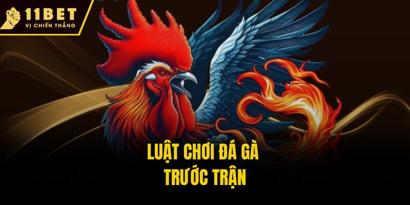 Luật Chơi Đá Gà: 11bet Hướng Dẫn Chi Tiết Từ A-Z Cho Newbie 2 Luật chơi đá gà trước trận